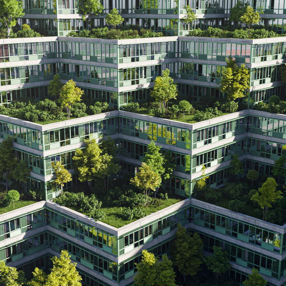 Buildings with green roofs
