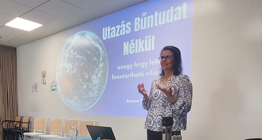 A woman is standing and presenting in a meeting room.